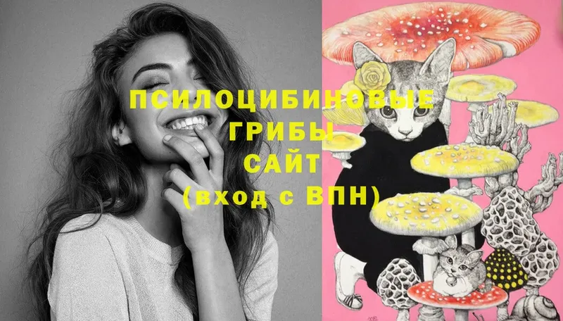 Галлюциногенные грибы мицелий  blacksprut ССЫЛКА  Удомля  что такое наркотик 